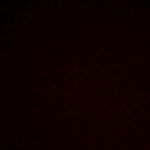 Meet your Posher, Jacey